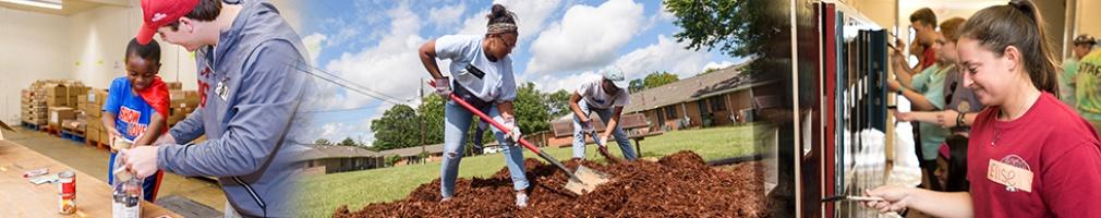 Cover image for Beat Auburn Beat Hunger 2023